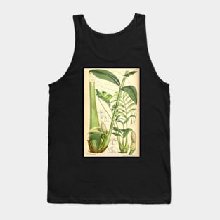 ZZ plant - botanical illustration Tank Top